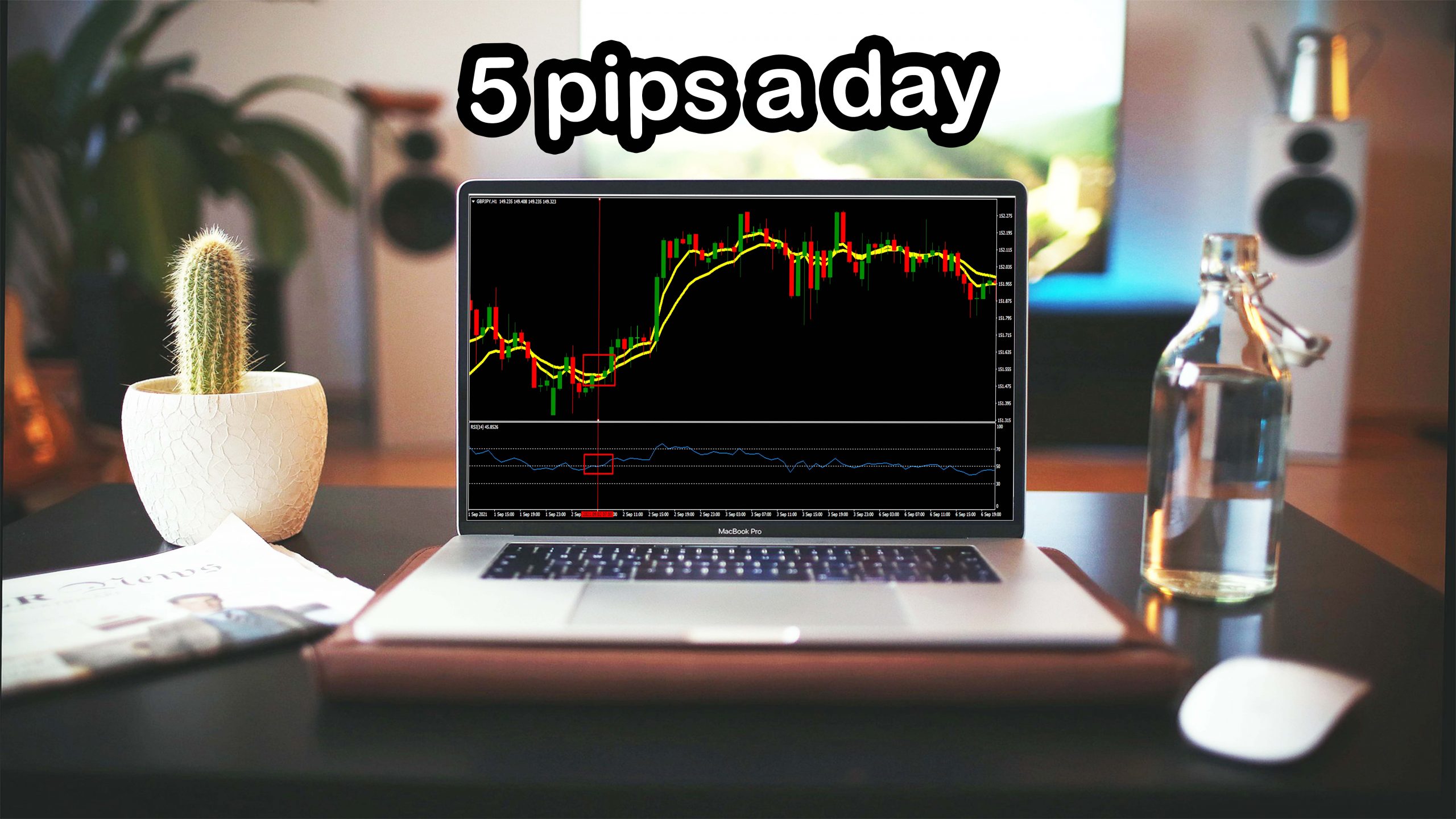 5 pips a day