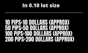  0.1 Lot Size In Dollars